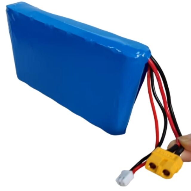 بطارية مخصصة 7s1p 18650 24V 3500mAh ل 350W محرك مع Xt60